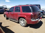 2006 Chevrolet Trailblazer Ls Silver vin: 1GNDT13S162309010