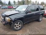 2006 Chevrolet Trailblazer Ls Black vin: 1GNDT13S162336157