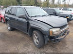 2006 Chevrolet Trailblazer Ls Black vin: 1GNDT13S162336157