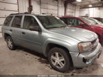 2006 Chevrolet Trailblazer Ls Gray vin: 1GNDT13S162342489