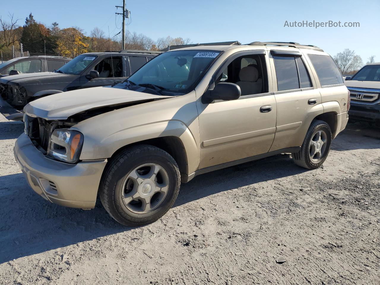 2006 Chevrolet Trailblazer Ls Желто-коричневый vin: 1GNDT13S162348552