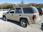 2006 Chevrolet Trailblazer Ls Желто-коричневый vin: 1GNDT13S162348552