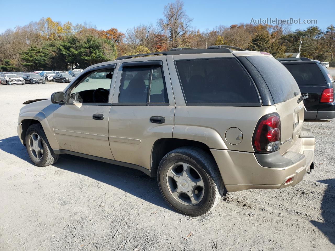 2006 Chevrolet Trailblazer Ls Желто-коричневый vin: 1GNDT13S162348552