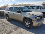 2006 Chevrolet Trailblazer Ls Желто-коричневый vin: 1GNDT13S162348552