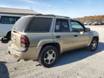 2006 Chevrolet Trailblazer Ls Желто-коричневый vin: 1GNDT13S162348552