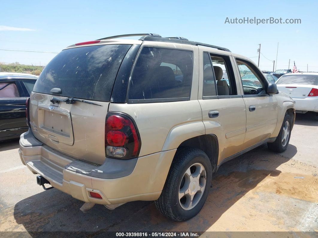 2006 Chevrolet Trailblazer Ls Gold vin: 1GNDT13S162360703