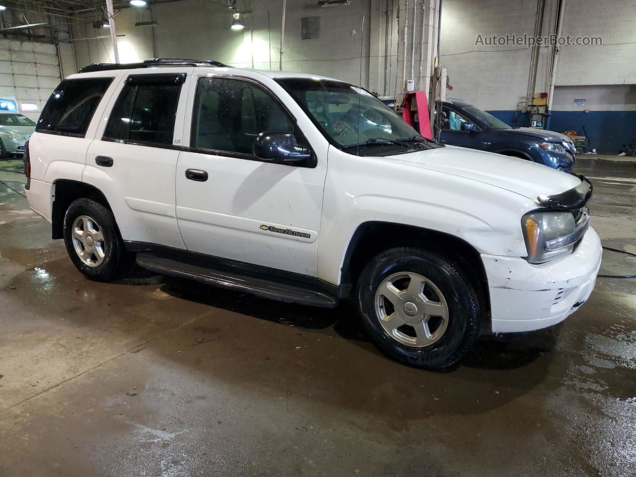 2002 Chevrolet Trailblazer  White vin: 1GNDT13S222159418