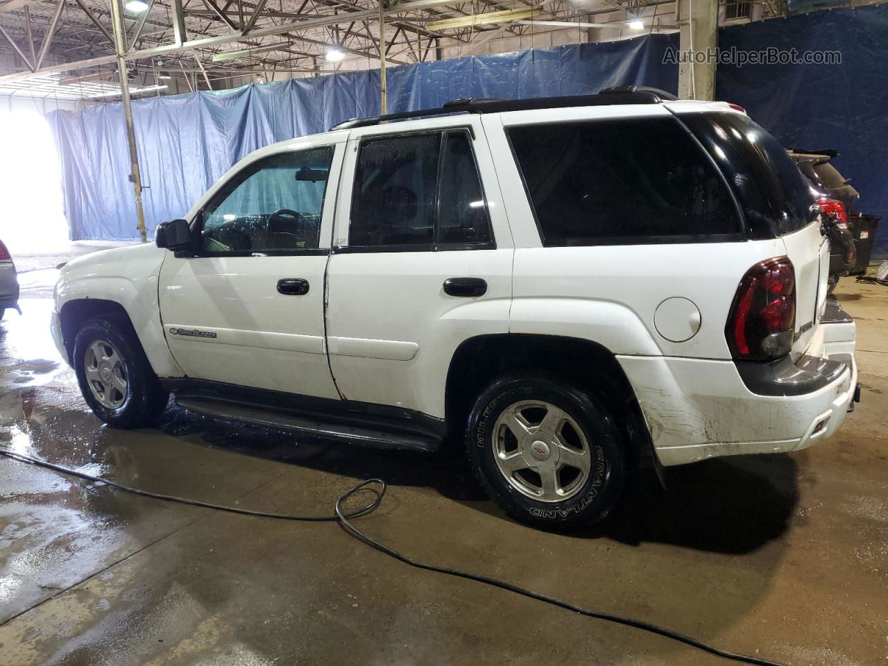 2002 Chevrolet Trailblazer  White vin: 1GNDT13S222159418