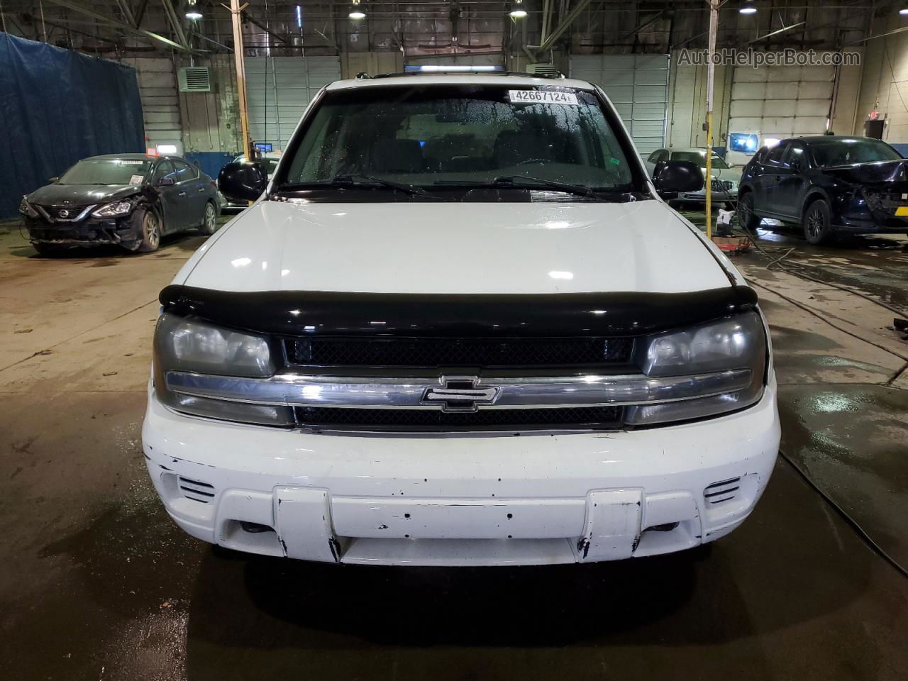 2002 Chevrolet Trailblazer  White vin: 1GNDT13S222159418