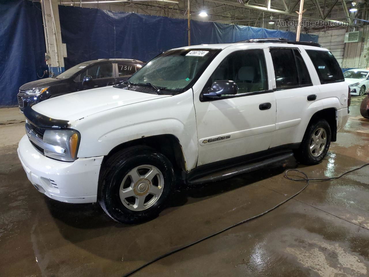 2002 Chevrolet Trailblazer  White vin: 1GNDT13S222159418