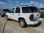 2002 Chevrolet Trailblazer  White vin: 1GNDT13S222179085