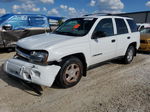 2002 Chevrolet Trailblazer  White vin: 1GNDT13S222179085