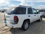 2002 Chevrolet Trailblazer  White vin: 1GNDT13S222179085