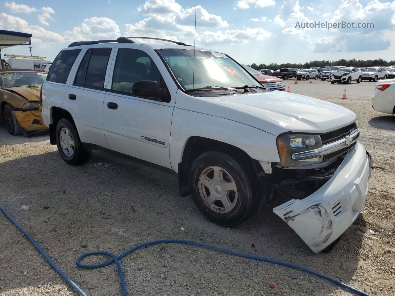 2002 Chevrolet Trailblazer  White vin: 1GNDT13S222179085