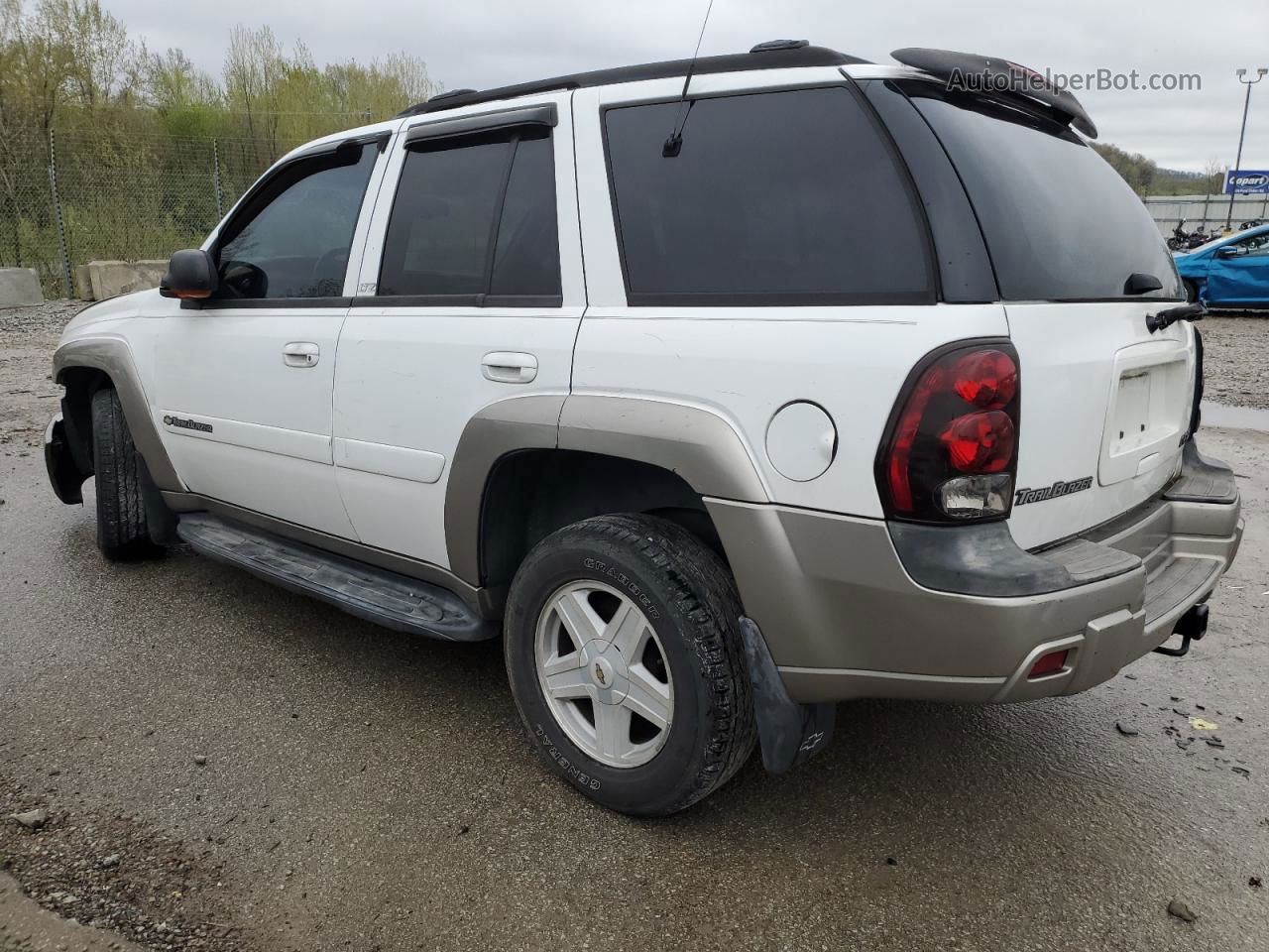 2002 Chevrolet Trailblazer  Two Tone vin: 1GNDT13S222344746