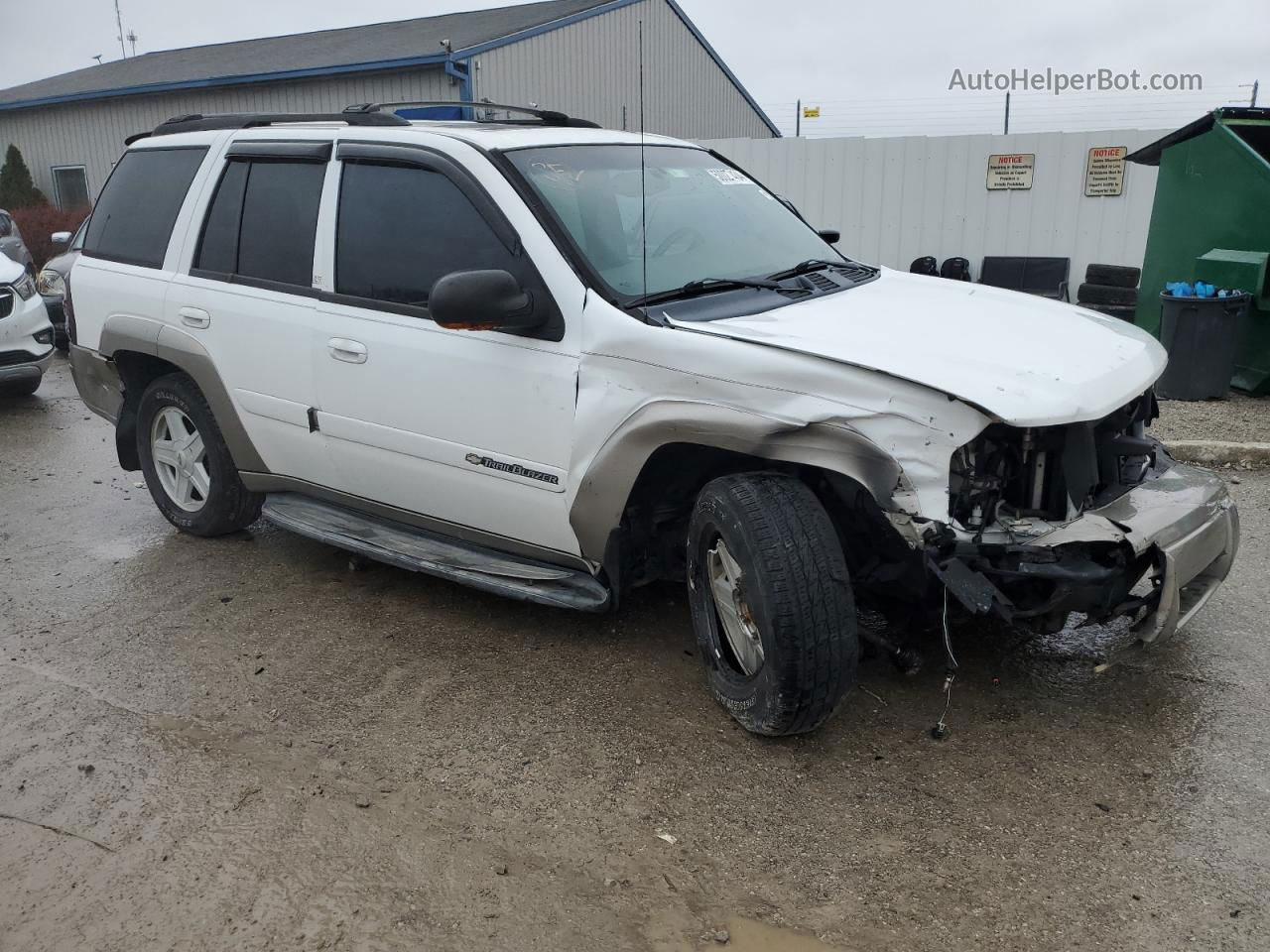 2002 Chevrolet Trailblazer  Two Tone vin: 1GNDT13S222344746