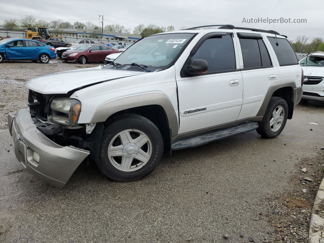 2002 Chevrolet Trailblazer  Двухцветный vin: 1GNDT13S222344746