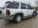 2002 Chevrolet Trailblazer  Two Tone vin: 1GNDT13S222344746