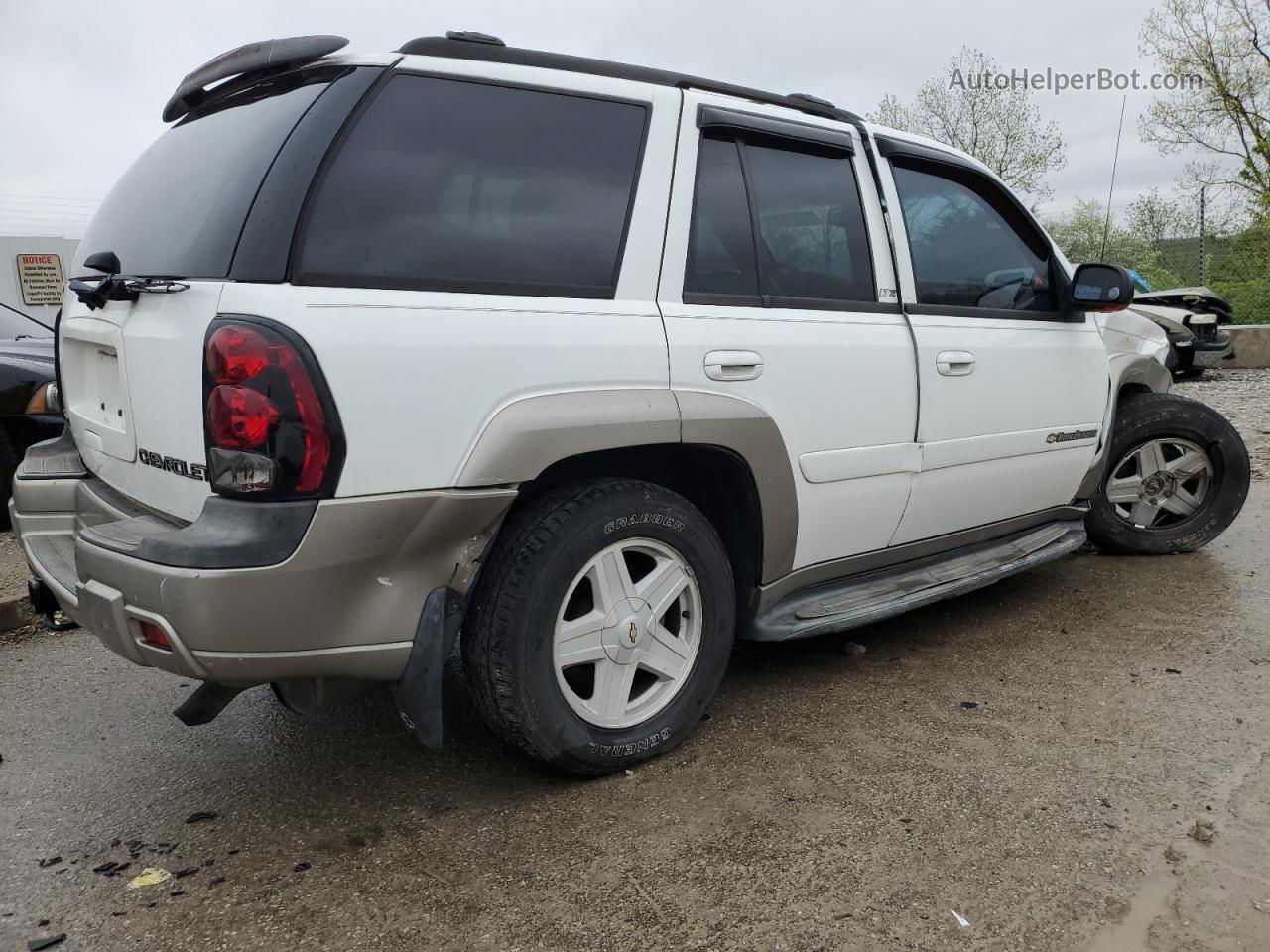 2002 Chevrolet Trailblazer  Двухцветный vin: 1GNDT13S222344746