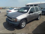 2002 Chevrolet Trailblazer Ls Серый vin: 1GNDT13S222388276