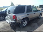 2002 Chevrolet Trailblazer Ls Серый vin: 1GNDT13S222388276