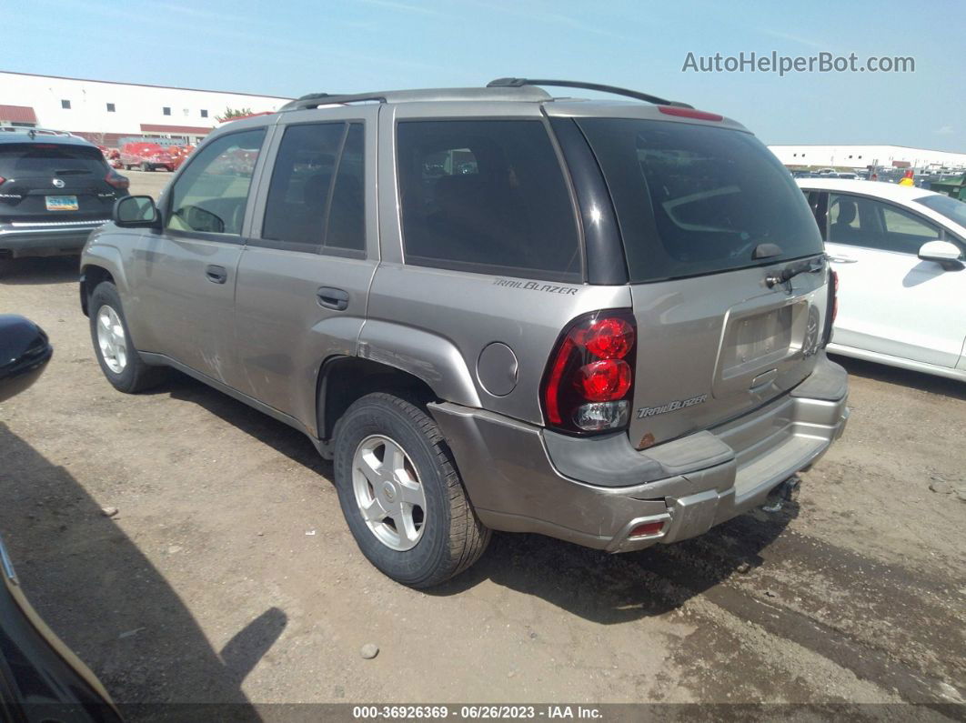 2002 Chevrolet Trailblazer Ls Серый vin: 1GNDT13S222388276