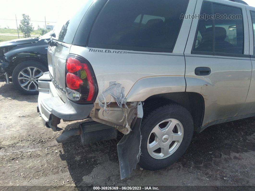 2002 Chevrolet Trailblazer Ls Серый vin: 1GNDT13S222388276