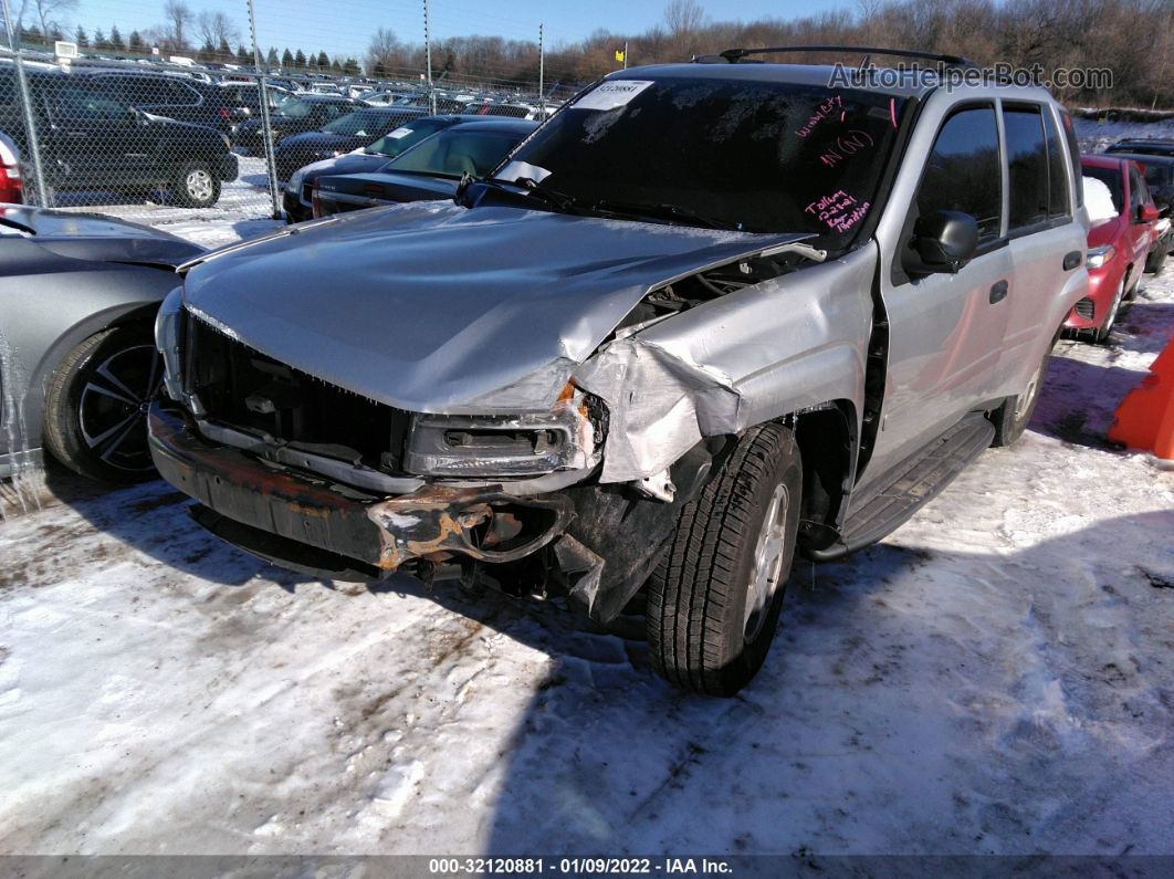 2006 Chevrolet Trailblazer Ls Gray vin: 1GNDT13S262179903