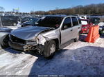 2006 Chevrolet Trailblazer Ls Gray vin: 1GNDT13S262179903