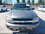 2006 Chevrolet Trailblazer Ls Gray vin: 1GNDT13S262207599