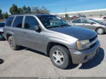 2006 Chevrolet Trailblazer Ls Gray vin: 1GNDT13S262207599