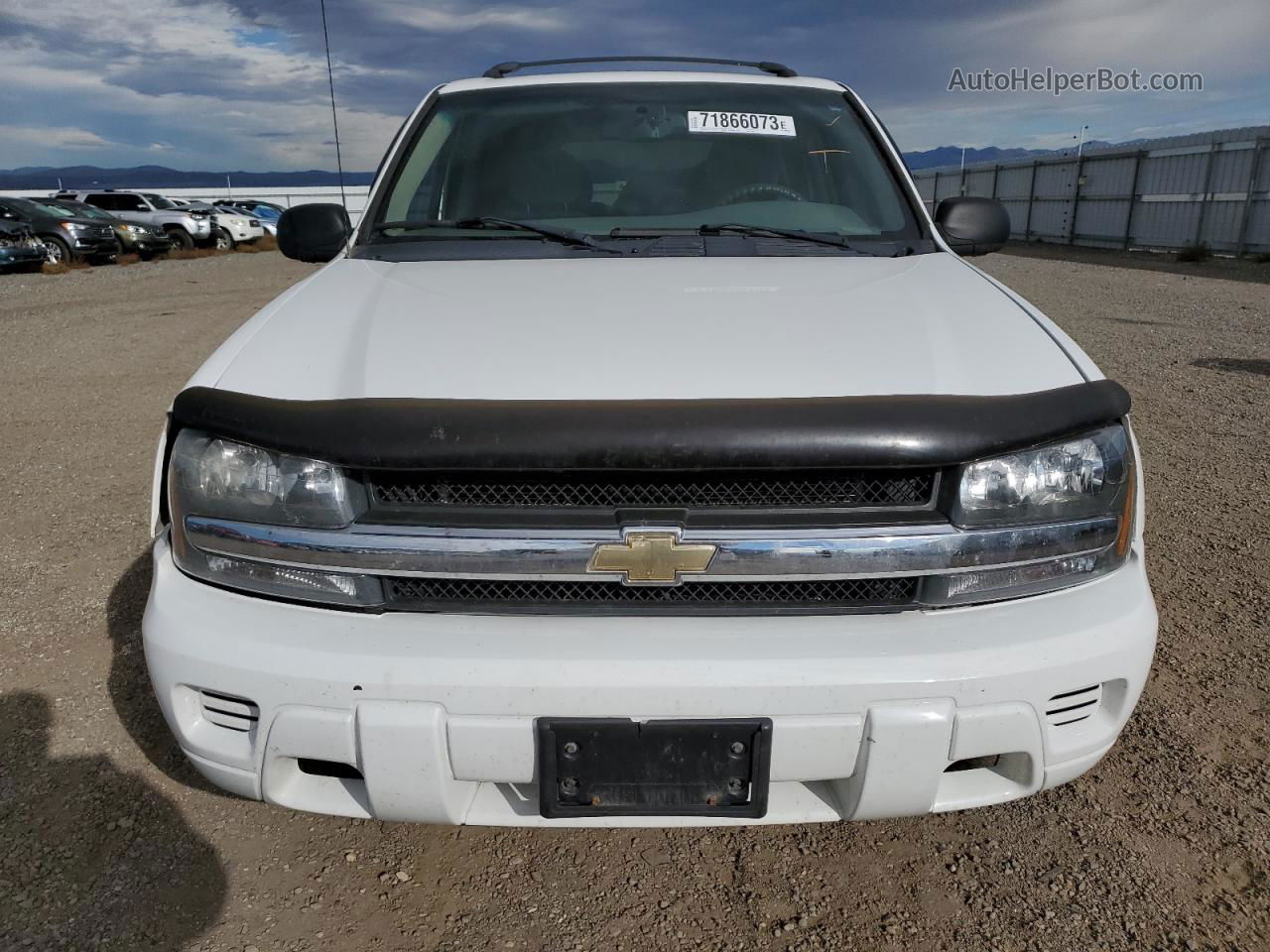 2006 Chevrolet Trailblazer Ls White vin: 1GNDT13S262208607