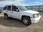 2006 Chevrolet Trailblazer Ls White vin: 1GNDT13S262208607