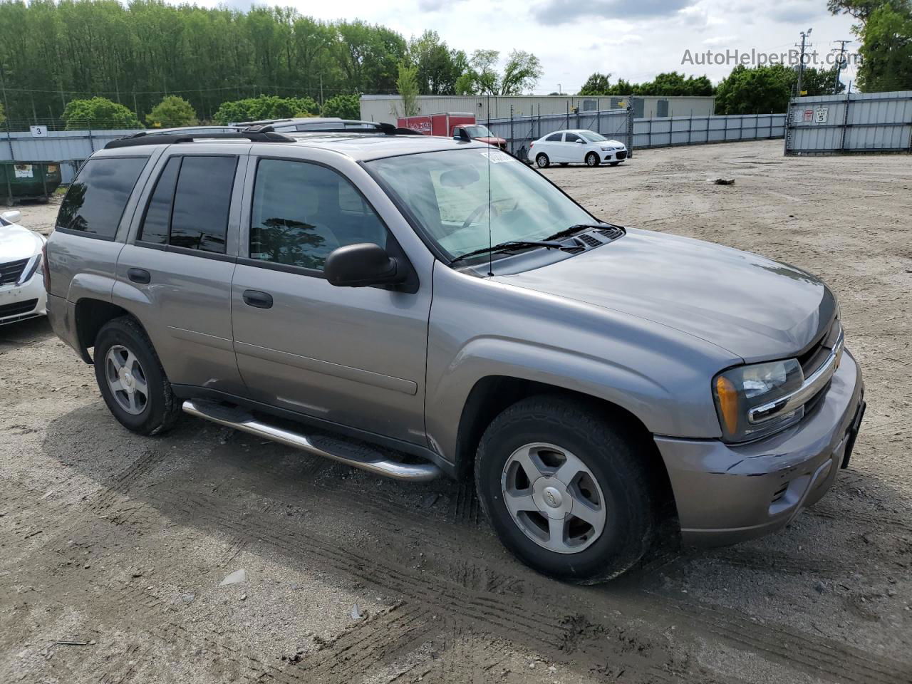 2006 Chevrolet Trailblazer Ls Серый vin: 1GNDT13S262239484