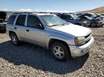 2006 Chevrolet Trailblazer Ls Silver vin: 1GNDT13S262255426