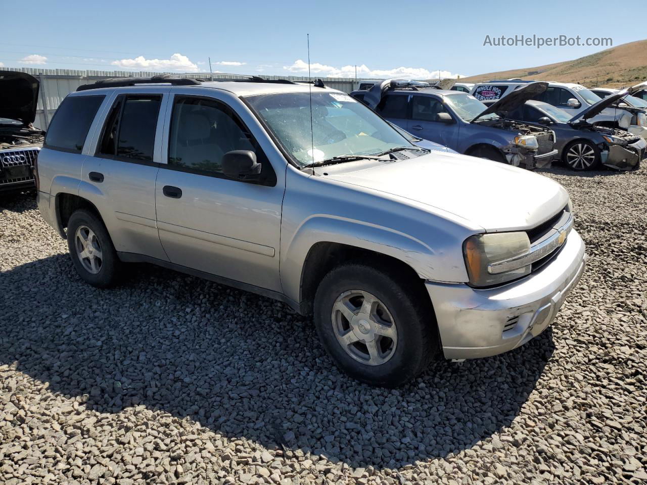 2006 Chevrolet Trailblazer Ls Серебряный vin: 1GNDT13S262255426