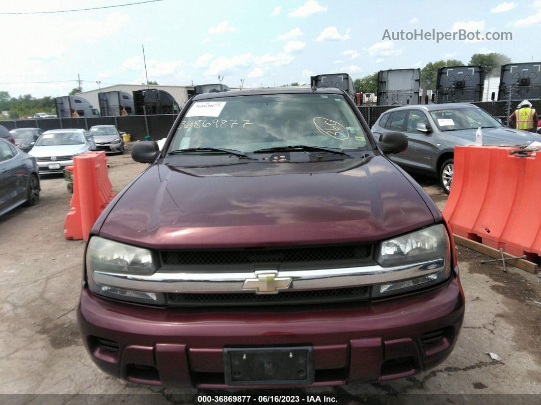 2006 Chevrolet Trailblazer Ls Maroon vin: 1GNDT13S262293996