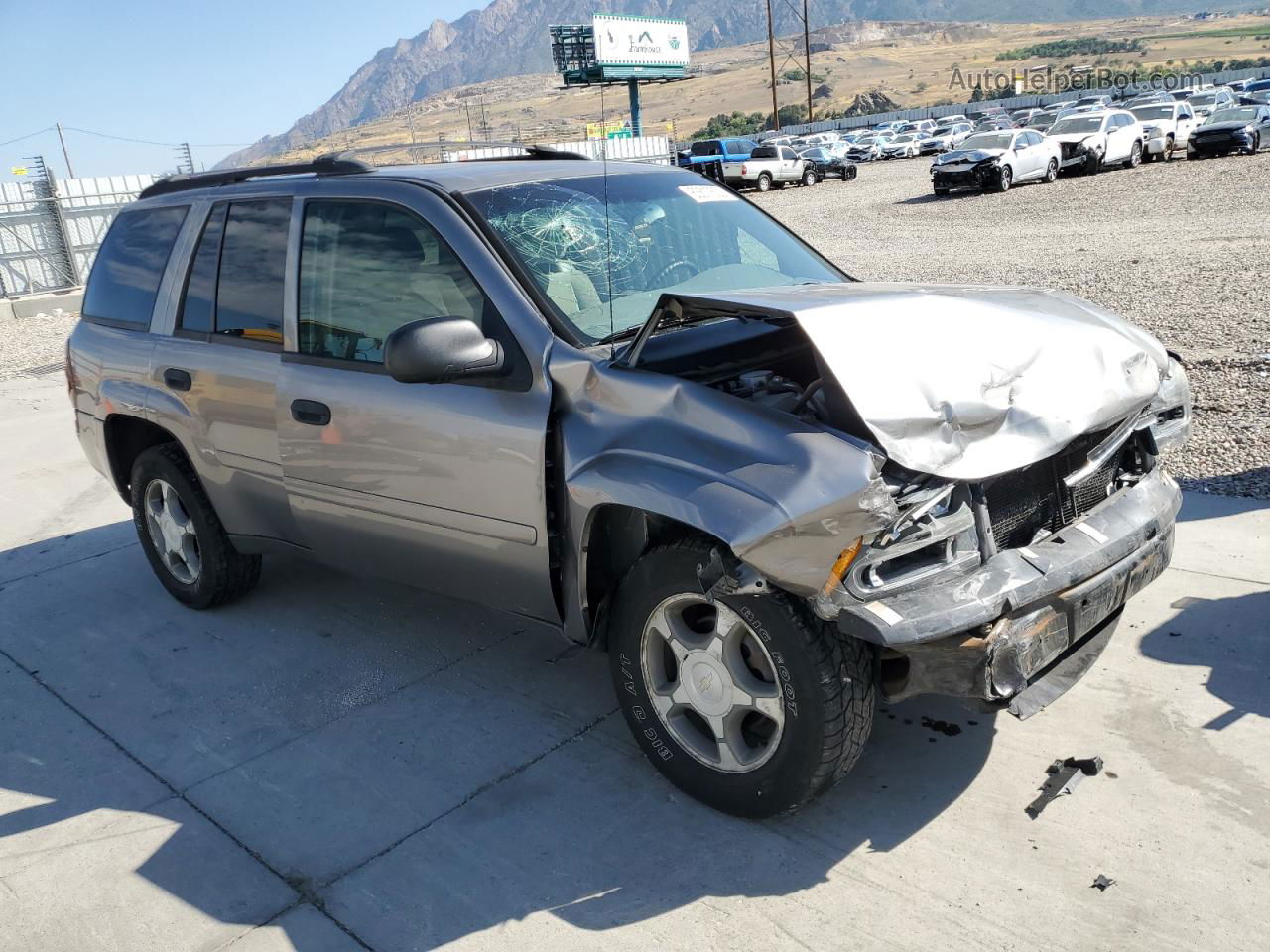 2006 Chevrolet Trailblazer Ls Gray vin: 1GNDT13S262335938