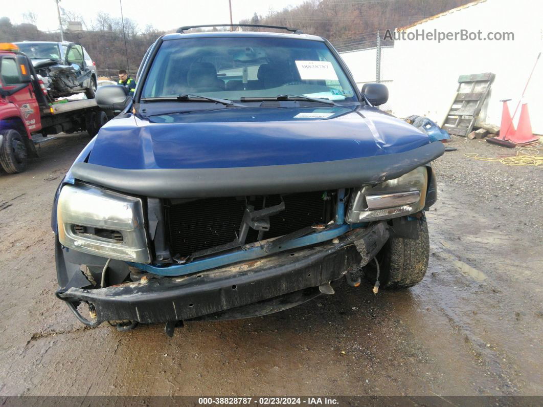 2002 Chevrolet Trailblazer Lt Синий vin: 1GNDT13S322135497