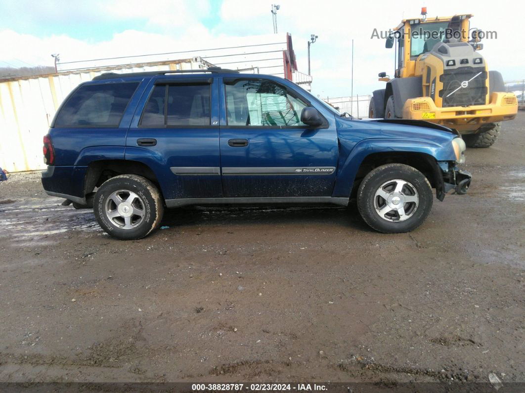 2002 Chevrolet Trailblazer Lt Синий vin: 1GNDT13S322135497