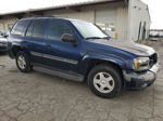 2002 Chevrolet Trailblazer  Blue vin: 1GNDT13S322319225