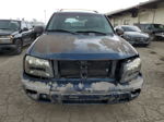 2002 Chevrolet Trailblazer  Blue vin: 1GNDT13S322319225