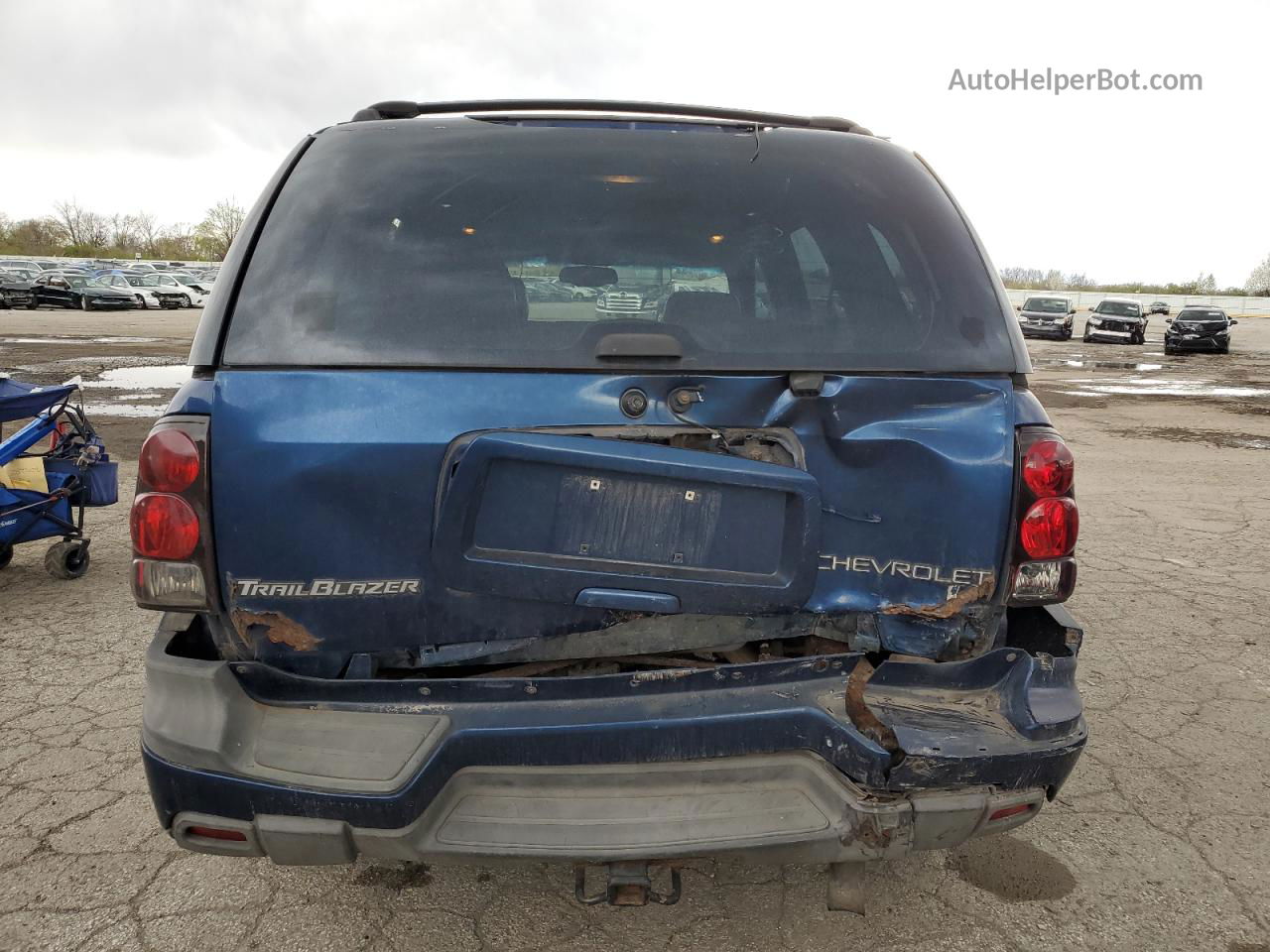 2002 Chevrolet Trailblazer  Синий vin: 1GNDT13S322319225