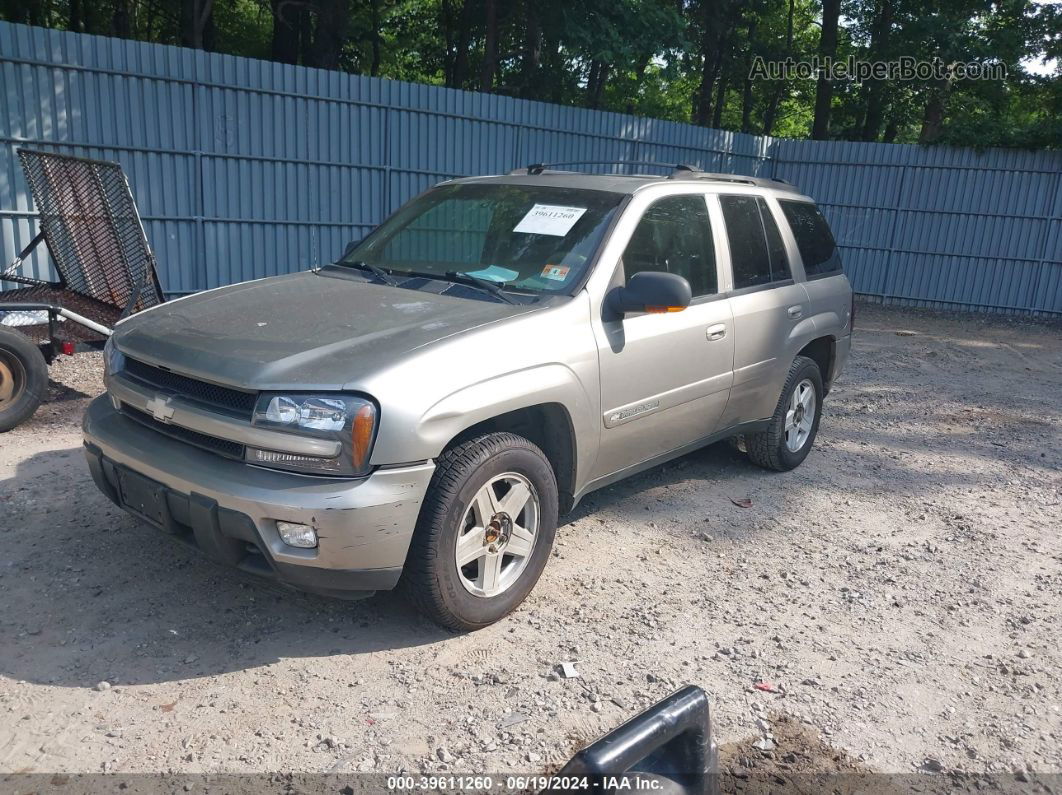 2002 Chevrolet Trailblazer Ltz Gray vin: 1GNDT13S322366884