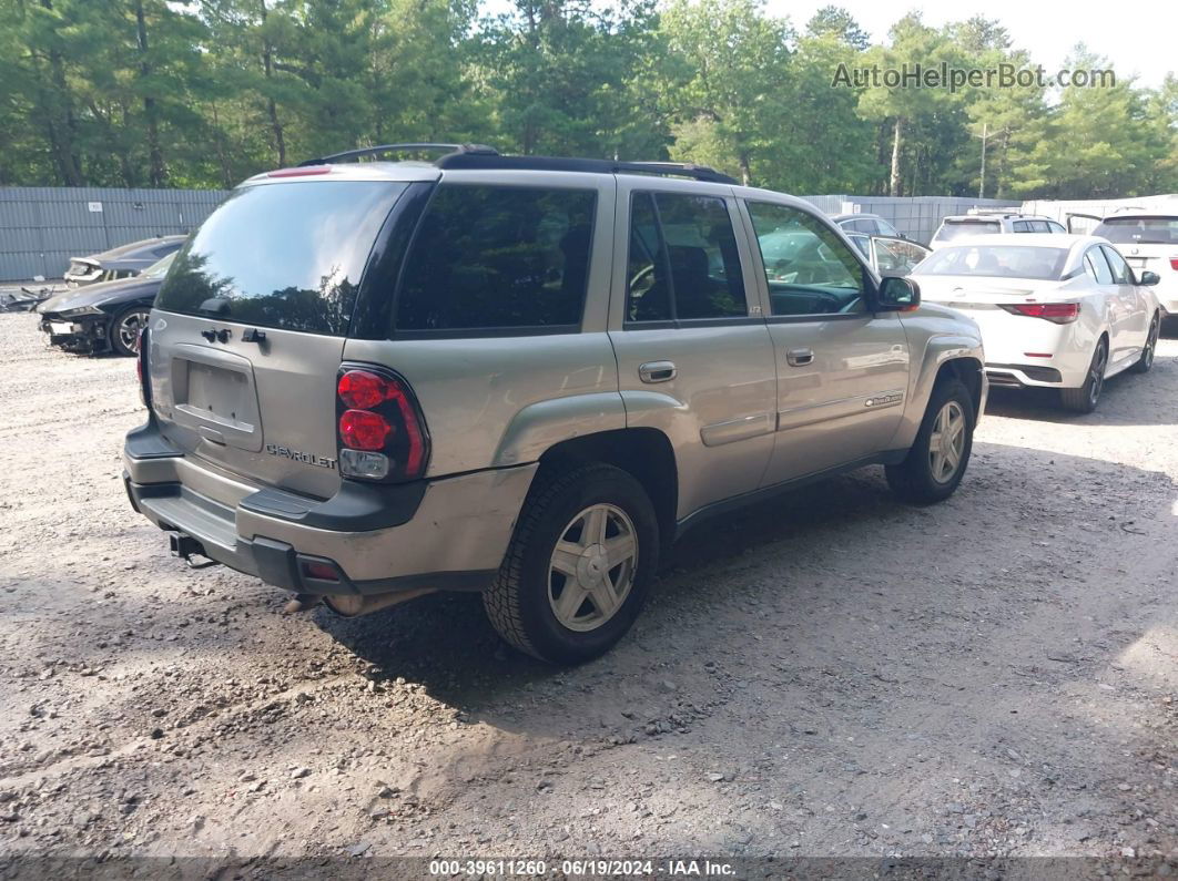 2002 Chevrolet Trailblazer Ltz Gray vin: 1GNDT13S322366884