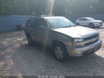 2002 Chevrolet Trailblazer Ltz Gray vin: 1GNDT13S322366884