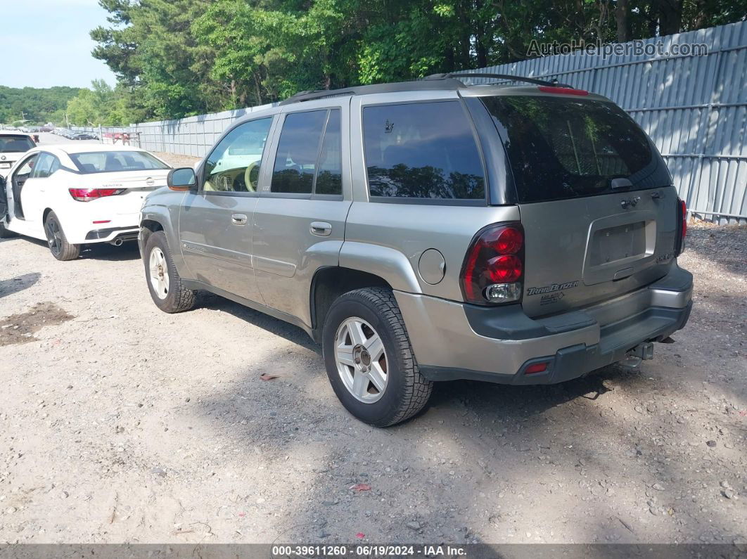 2002 Chevrolet Trailblazer Ltz Gray vin: 1GNDT13S322366884