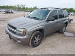 2006 Chevrolet Trailblazer Ls Gray vin: 1GNDT13S362100836