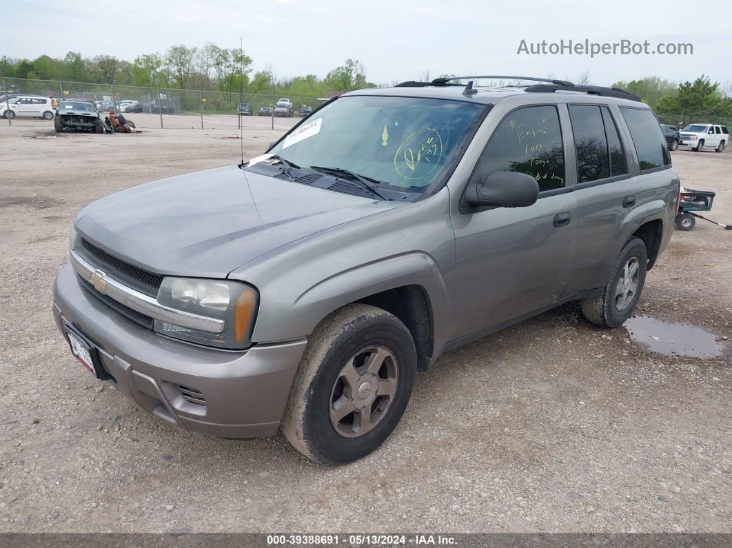 2006 Chevrolet Trailblazer Ls Gray vin: 1GNDT13S362100836