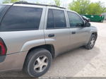 2006 Chevrolet Trailblazer Ls Gray vin: 1GNDT13S362100836